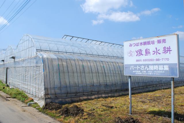 猿島水耕
