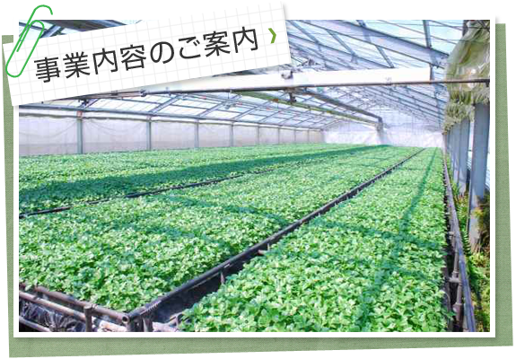 事業内容のご案内