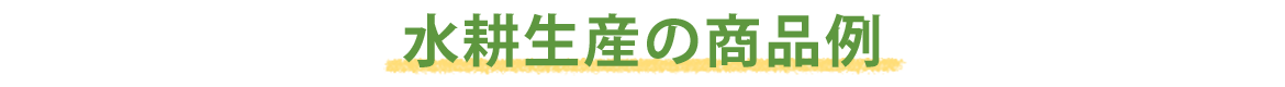 水耕生産の商品例