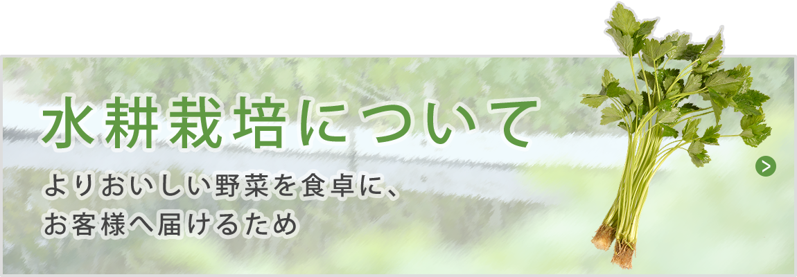 水耕栽培について