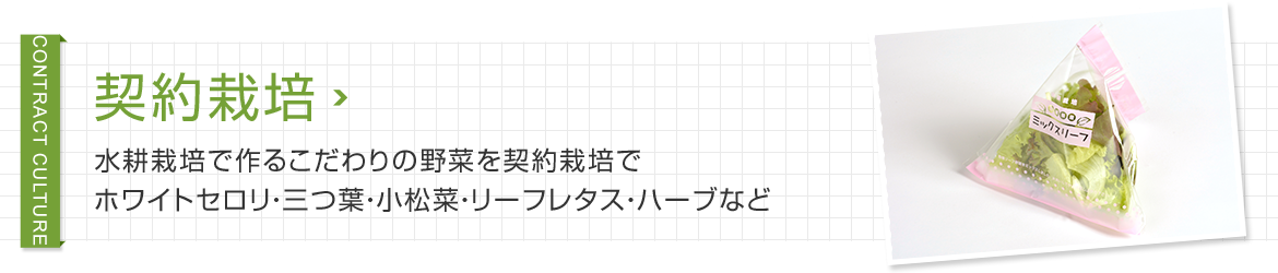 契約栽培